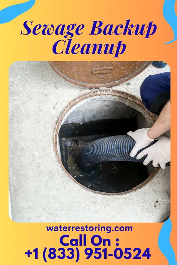 Sewage Backup Cleanup in Douglas, GA